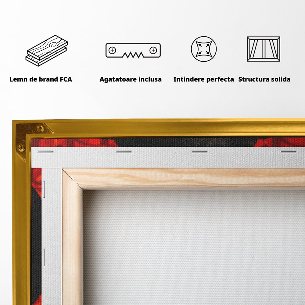 Spatele produsului, cu sasiu din lemn, capse metalice si agatatoare